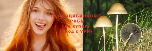 mdpv Алексин