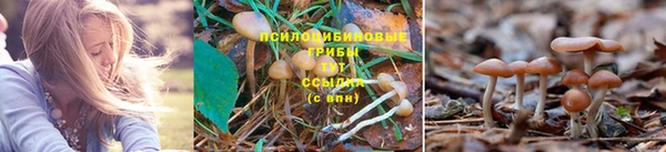 кокаин премиум Алзамай